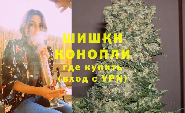 ECSTASY Белокуриха