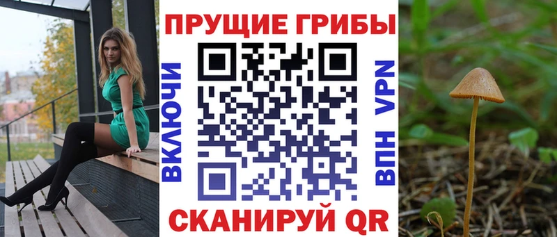 Галлюциногенные грибы мухоморы  где купить   маркетплейс Telegram  Кораблино 