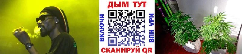 Бошки Шишки SATIVA & INDICA нарко площадка состав Кораблино
